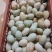 鲜鸭蛋绿壳鸭蛋红心鸭蛋散养鸭子蛋笨鸭蛋货源充足