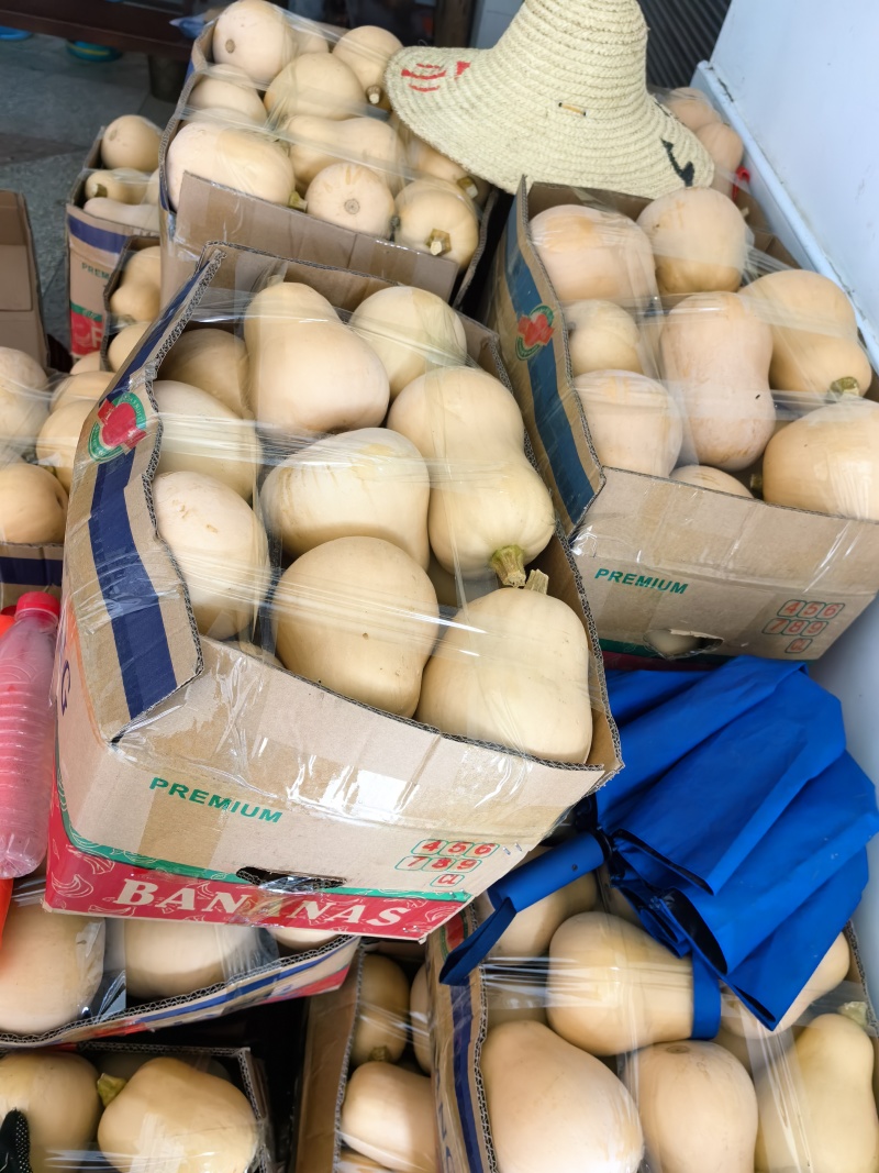 精品奶油南瓜1-3斤/个，电商、商超软糯香甜南瓜