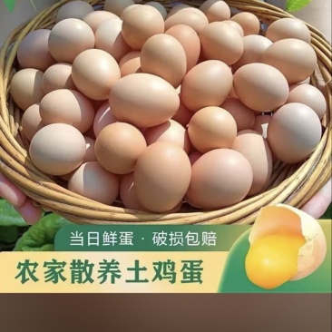 散养本地土鸡蛋