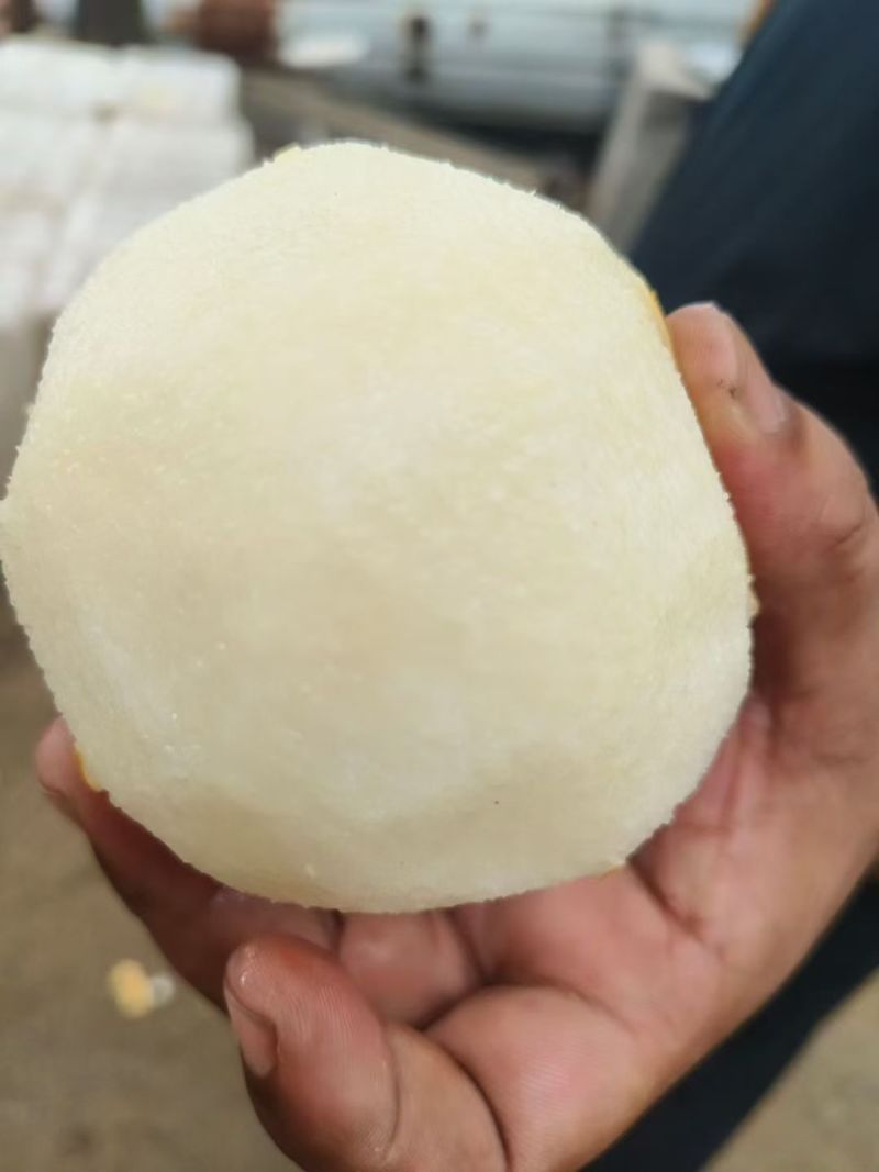 秋月梨，6两7两以上，口感脆甜，大量上市货源充足