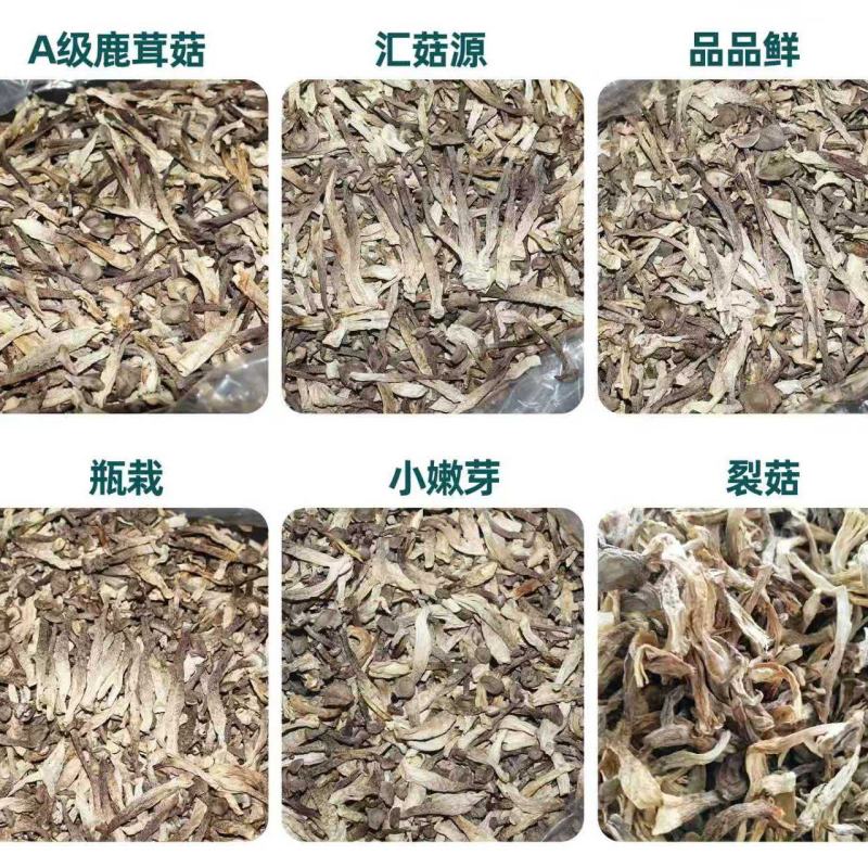 鹿茸菇菜场跑江湖，超市促销展会地摊好卖的