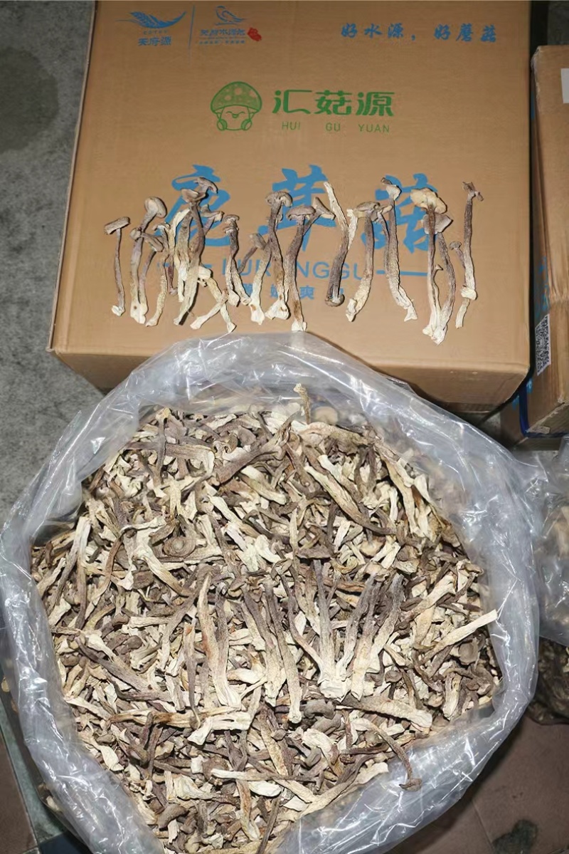 鹿茸菇菜场跑江湖，超市促销展会地摊好卖的