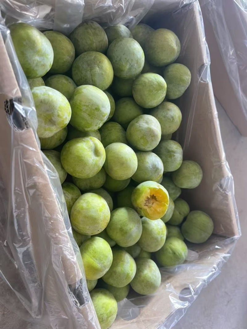 茂县青脆大量上市了