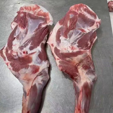 内蒙羔羊前腿