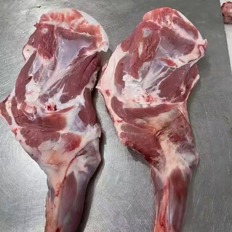 内蒙羔羊前腿