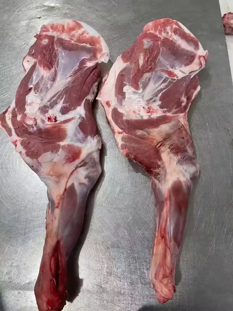 内蒙羔羊前腿