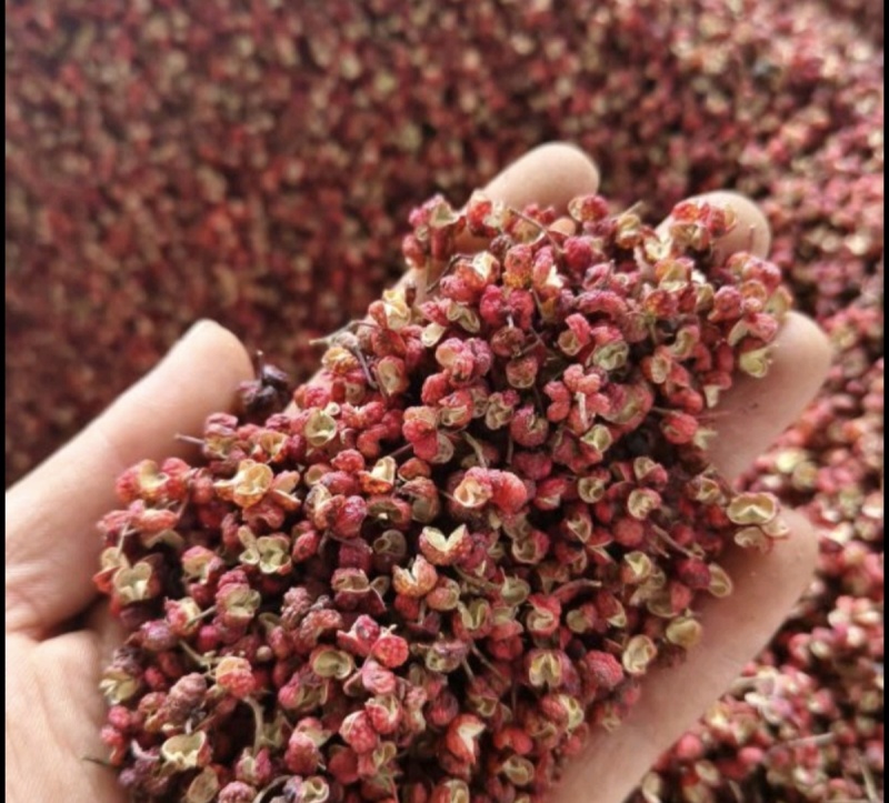 陕西渭南花椒