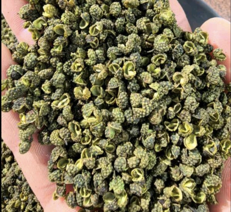 陕西渭南花椒