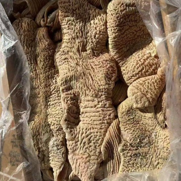 牛大肠