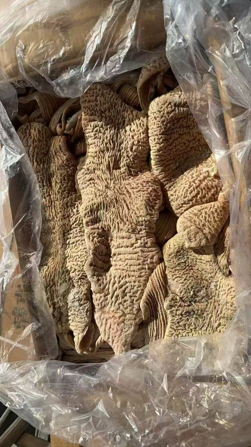 牛大肠