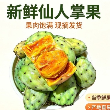 云南高原宝塔仙人掌果黄心仙桃现摘新鲜食用仙人果