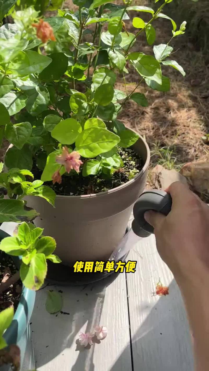 花盆托盘吸水器底座积水神器大吸管迷你换水抽水器大滴管园艺
