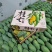 广西百色田东桂七产地直发，价格美丽，电商代发，落地配。