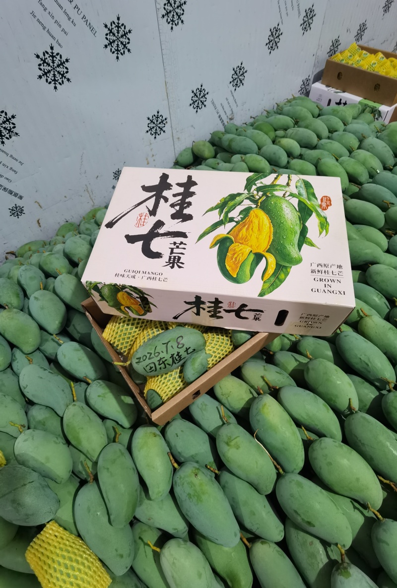 广西百色田东桂七产地直发，价格美丽，电商代发，落地配。