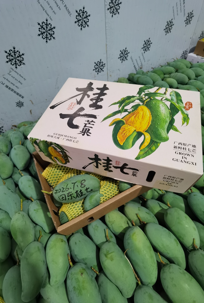 广西百色田东桂七产地直发，价格美丽，电商代发，落地配。