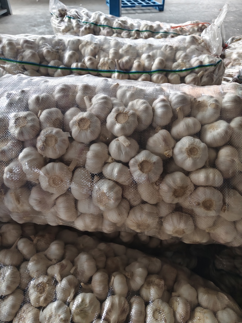 邳州大蒜，货量充足，常年供货