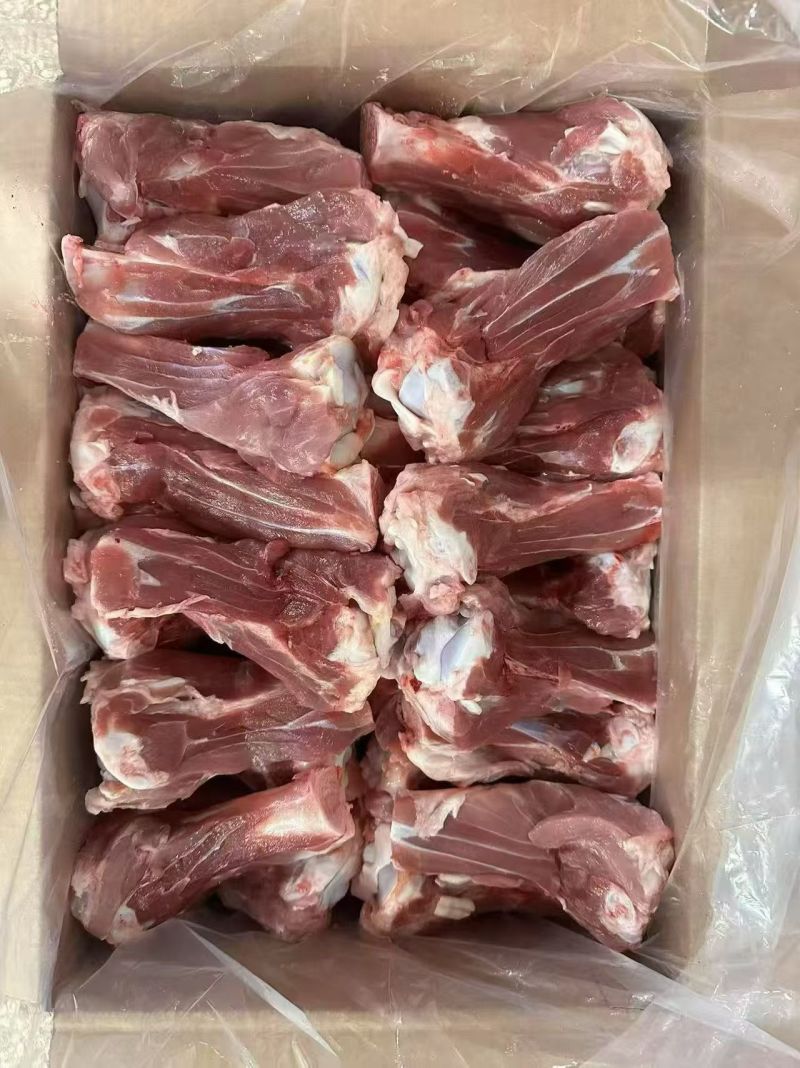 后棒骨