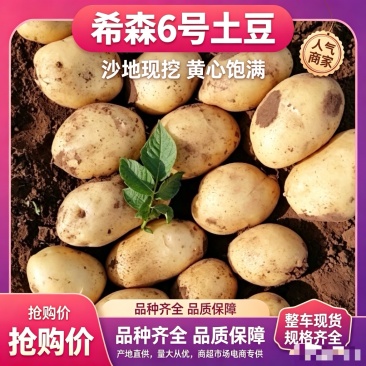 内蒙古土豆希森6号黄皮黄心土豆品质保证诚信经营