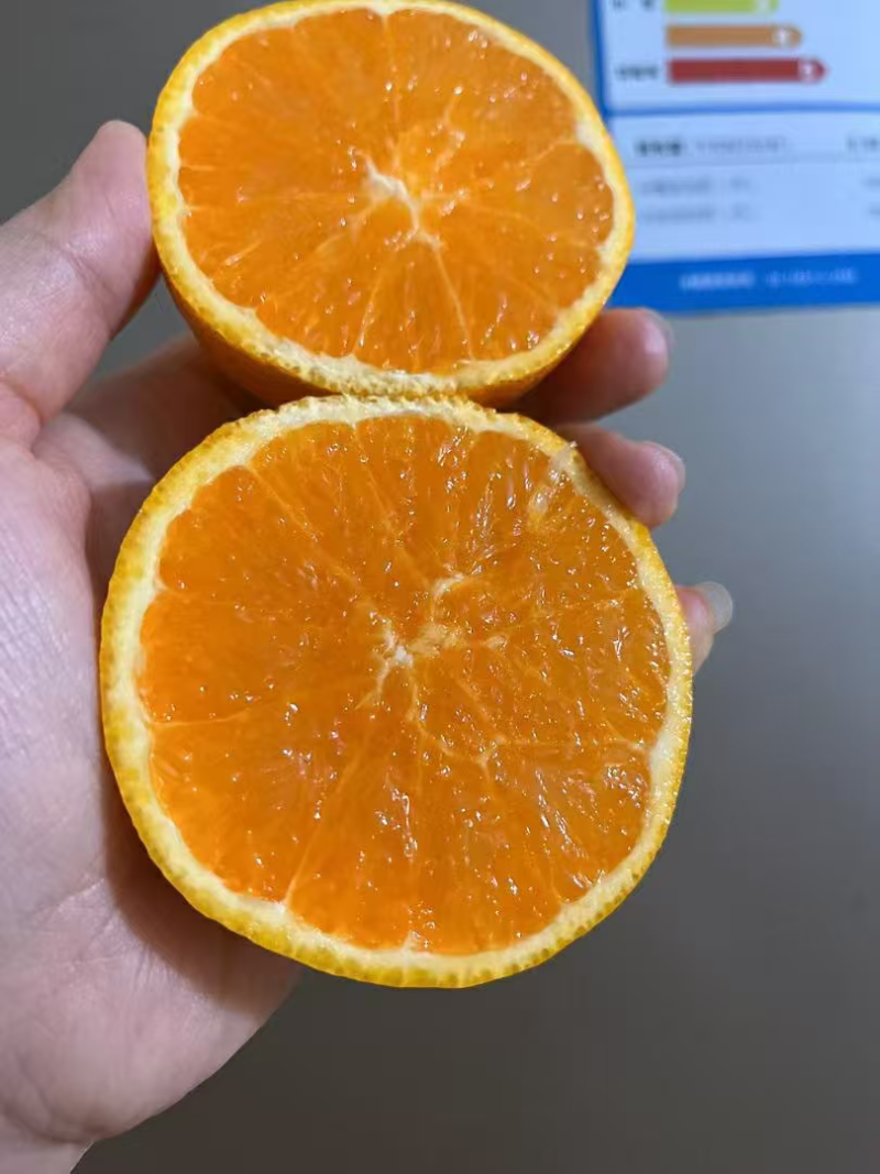 云南精品蜜橘/产地直发一手货源/对接全国采购商
