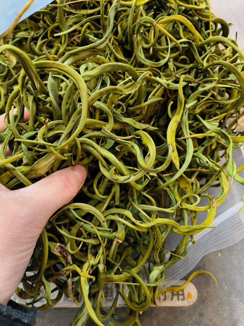 化石草云南化石草中药材化石草自然晾晒新货无硫可批发零售
