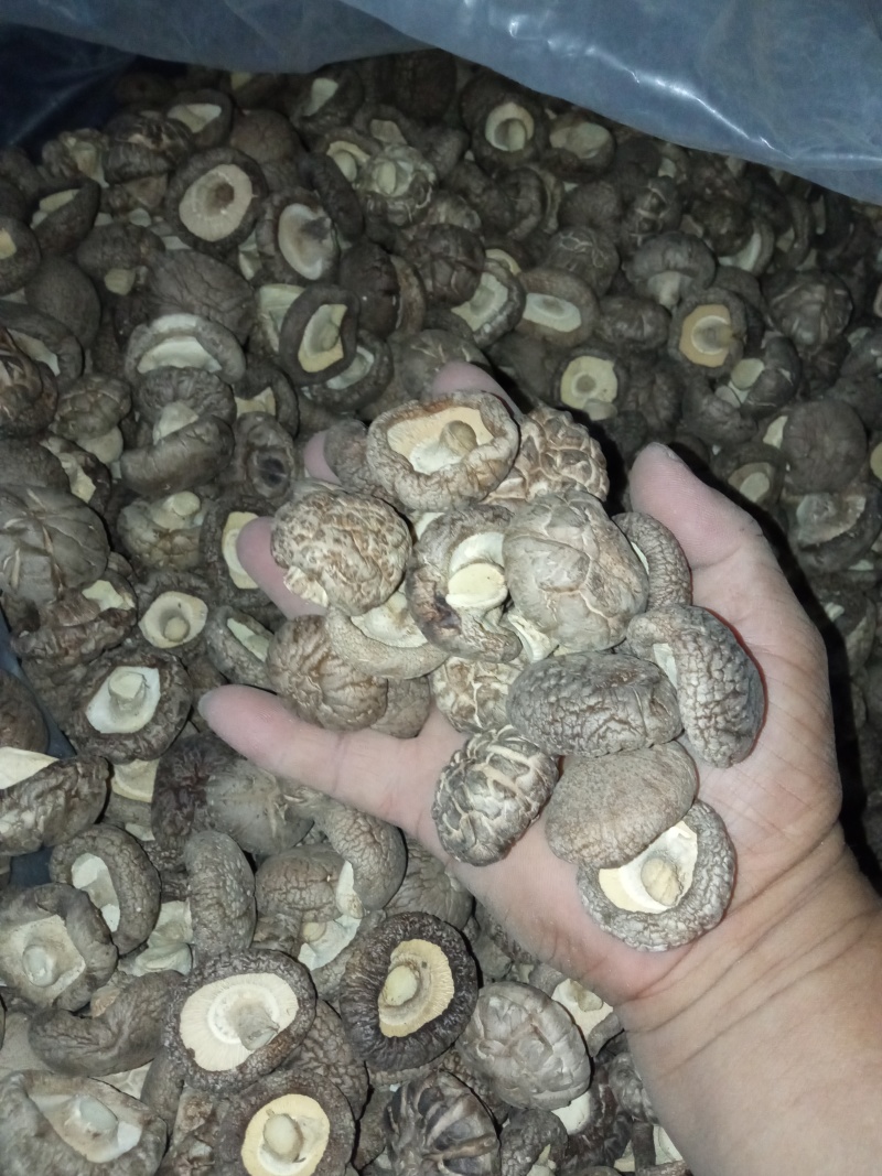 干香菇，产地直供，一手货源，规格齐全，价格十几元到二十几