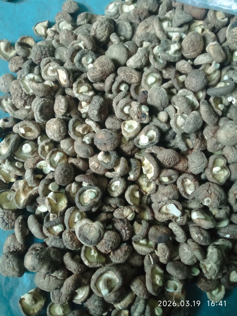 干香菇，产地直供，一手货源，规格齐全，价格十几元到二十几
