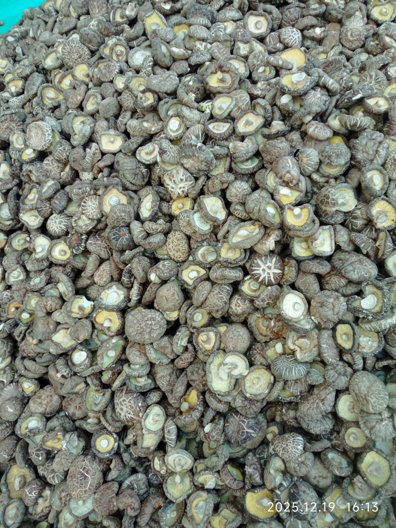 干香菇，产地直供，一手货源，规格齐全，价格十几元到二十几