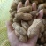 带壳花生鲜货带壳