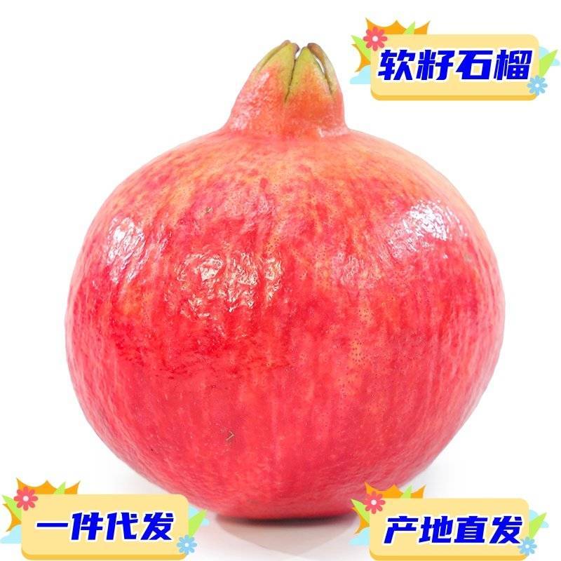 电商供应链四川大凉山突尼斯软籽石榴一件代发淘宝直播等等