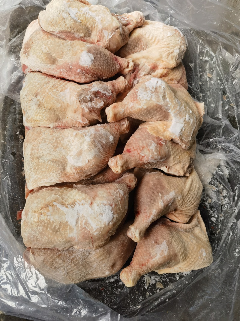 500天左右白毛种母鸡二级排腿，可以切块，炒鸡，炖汤