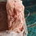 内蒙牛腰窝油，生牛油，一件20公斤，全国发货