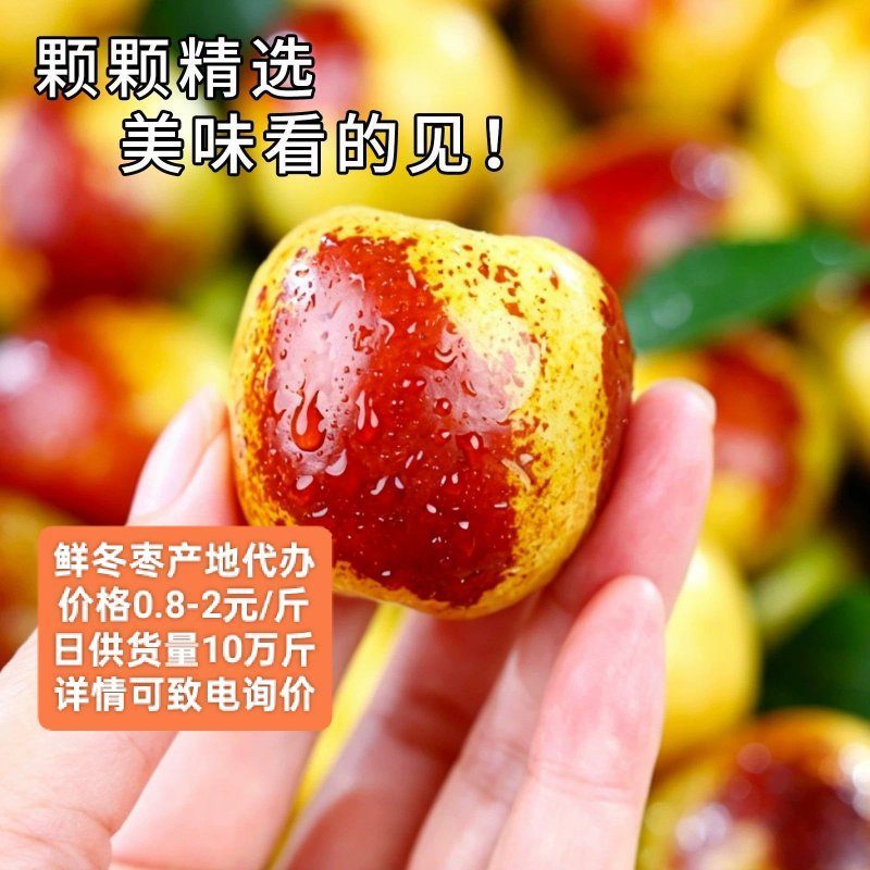 网红电商快销品鲜脆枣基地一件代发供应链果园现摘现发
