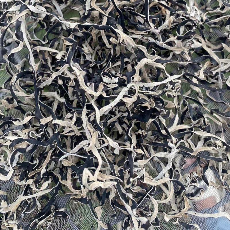 头茬电商干木耳丝无根精品木耳丝剪根木耳丝商用螺蛳粉用丝