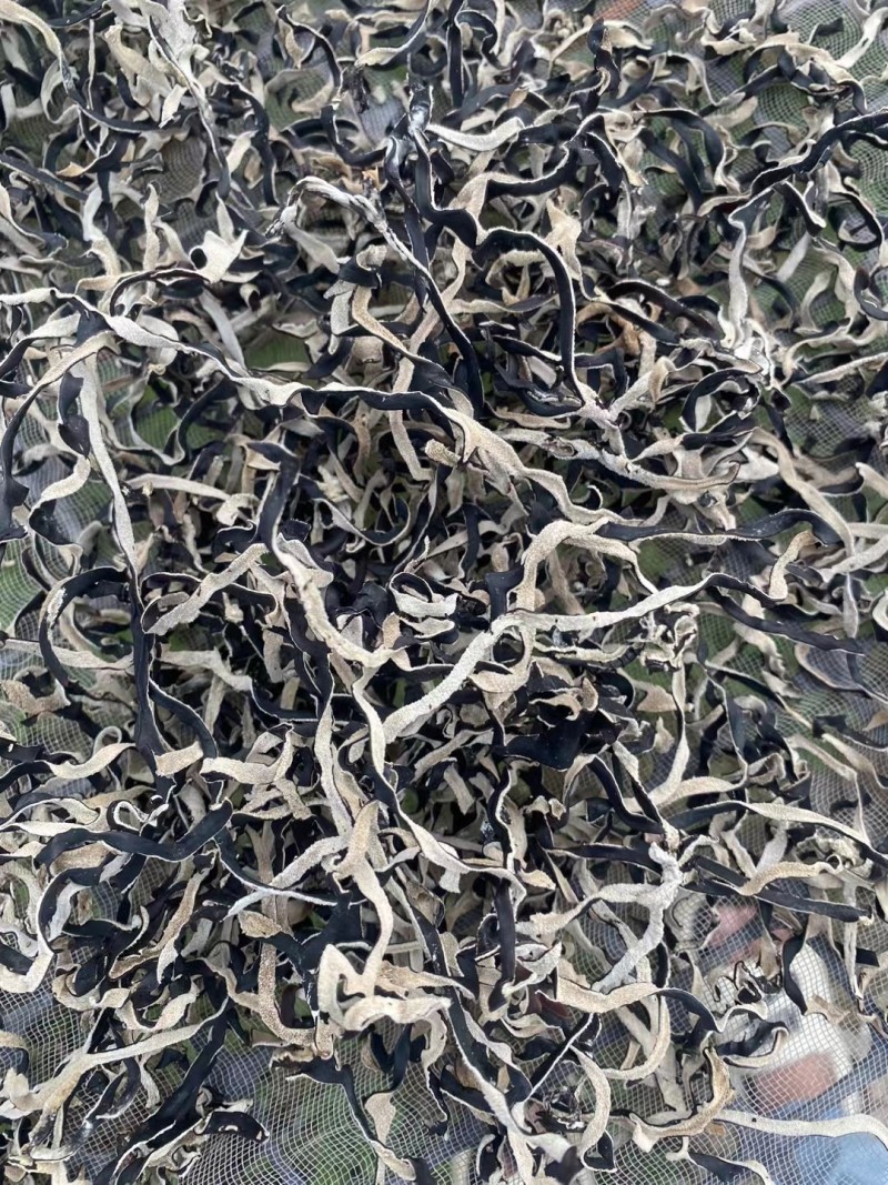 头茬电商干木耳丝无根精品木耳丝剪根木耳丝商用螺蛳粉用丝