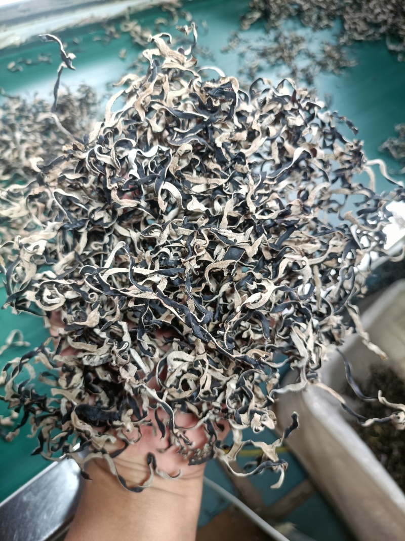 头茬电商干木耳丝无根精品木耳丝剪根木耳丝商用螺蛳粉用丝