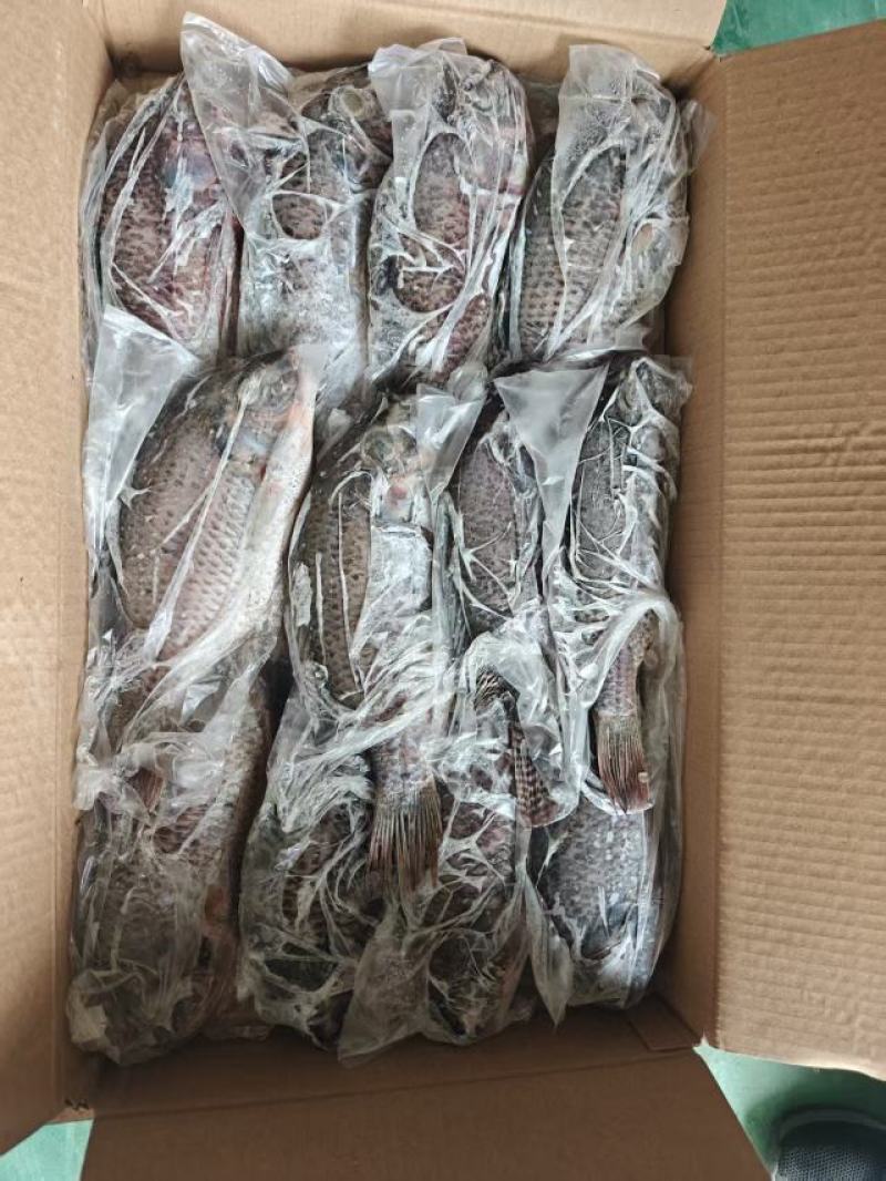 二去罗非鱼2.75kg/件，毛重3kg/件（不含箱）