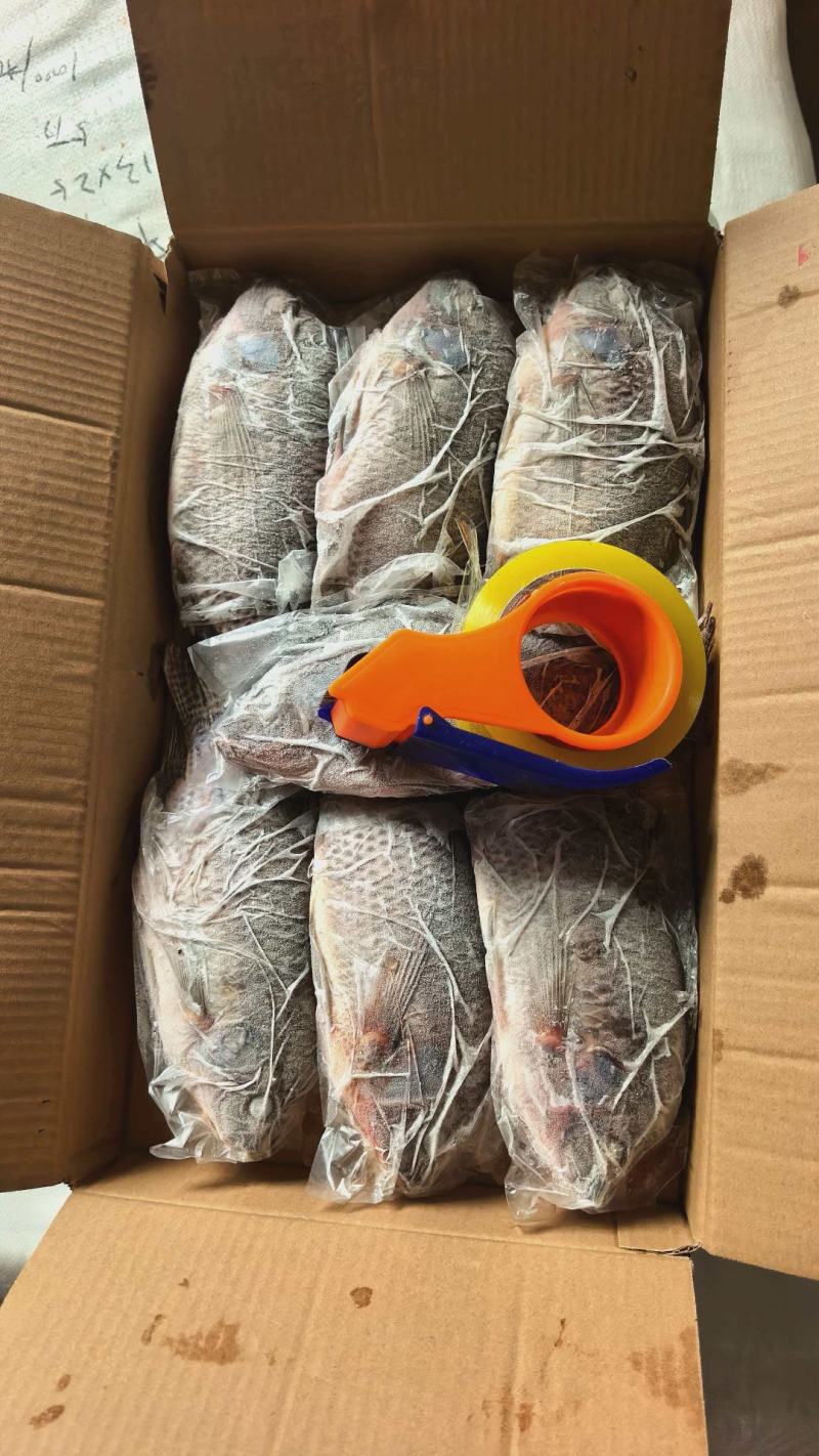 二去罗非鱼2.75kg/件，毛重3kg/件（不含箱）