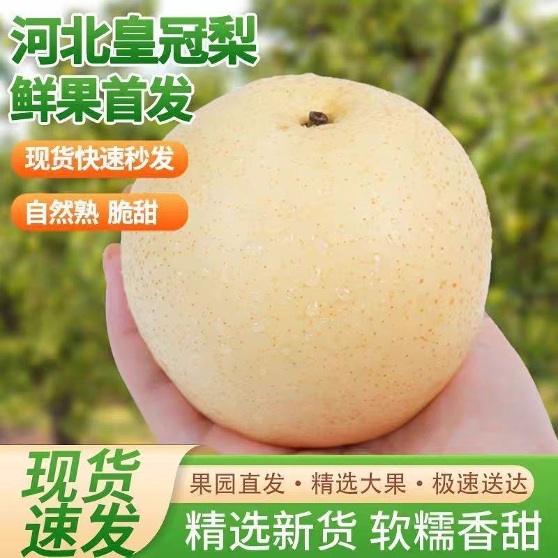河北精品皇冠梨大量上市产地现摘现发脆甜多汁欢迎来电