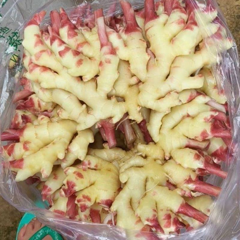 小黄姜，嫩姜