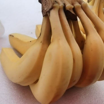 香蕉