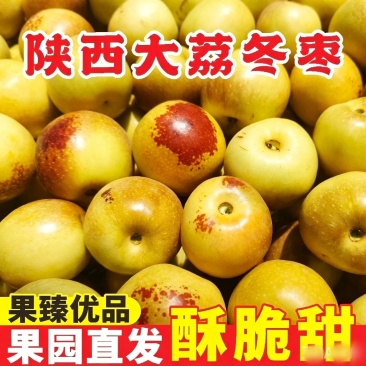 陕西大荔冬枣，产地直供大量有货对接超市档口批发市场等