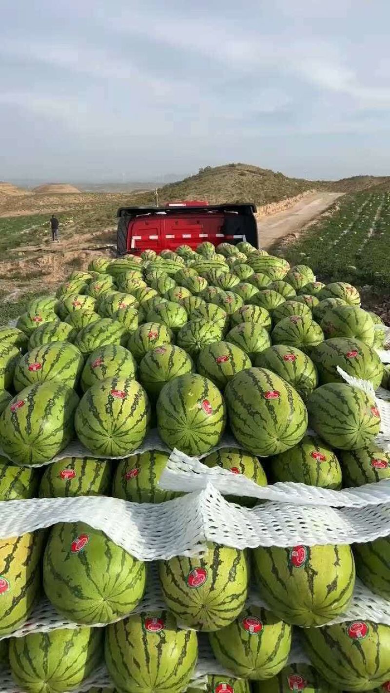 【正宗】石头瓜，硒砂瓜，质量完全可靠，专业维护客户权益