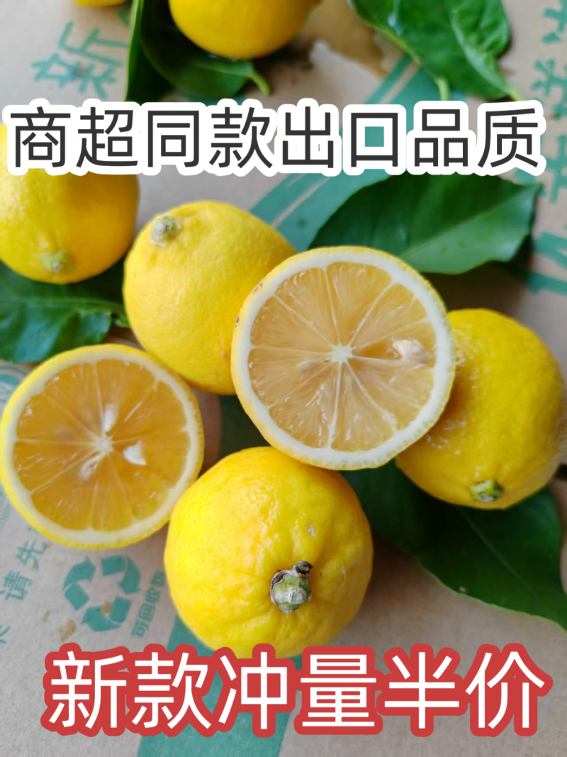正宗安岳柠檬果农直发皮薄汁水多茶叶果