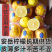 正宗安岳柠檬果农直发皮薄汁水多茶叶果