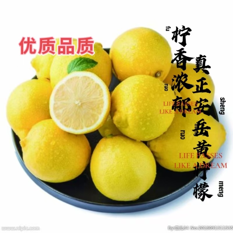 正宗安岳柠檬果农直发皮薄汁水多茶叶果