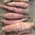 哈密红薯，白心。