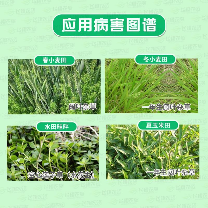 绿霸塔隆200克/升氯氟吡氧乙酸水花生莲子草一年生阔叶杂