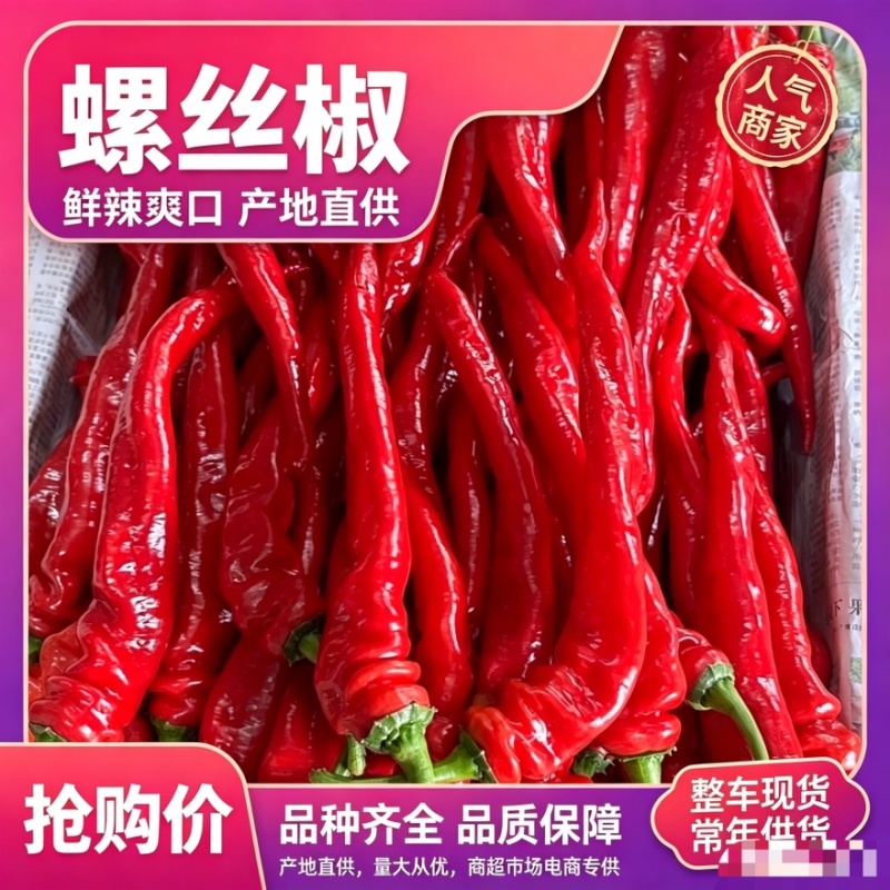 山东螺丝椒红品质保证诚信经营欢迎联系接商超市场电商