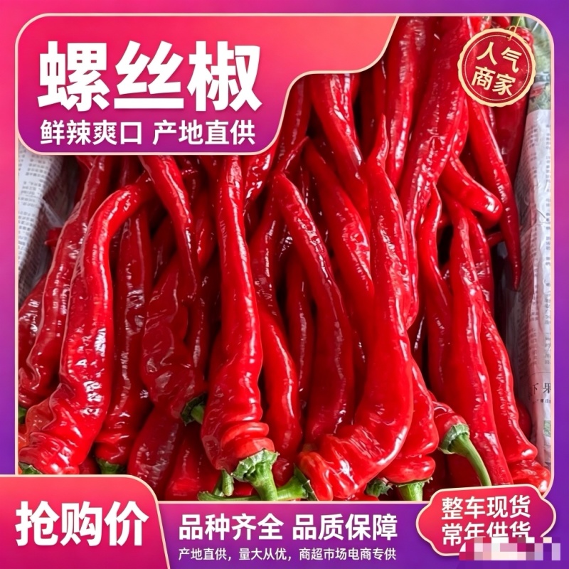 山东螺丝椒红品质保证诚信经营欢迎联系接商超市场电商