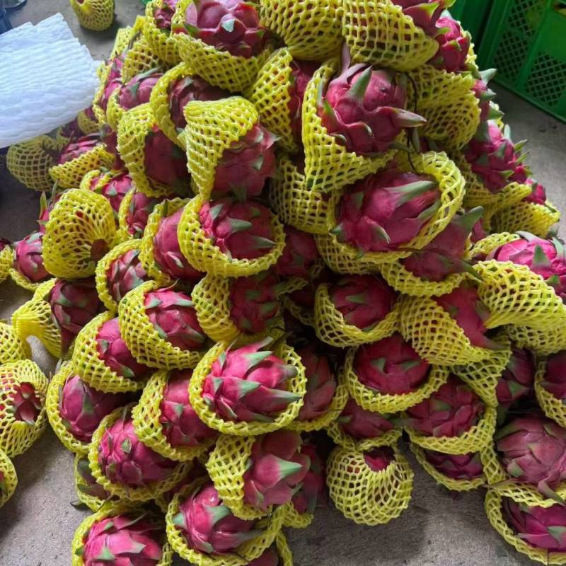 云南红心火龙果，大量供应，代发全国，保质保量，诚信经营